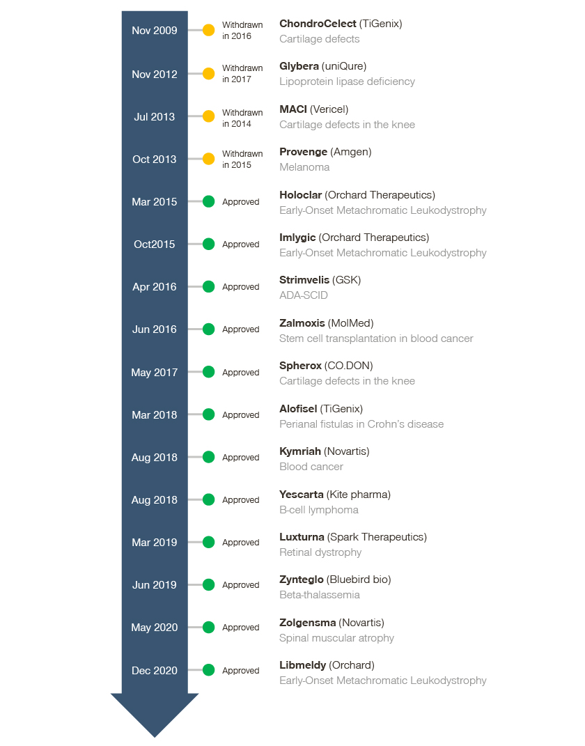 HEALTHCARE INSIGHTS